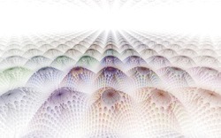 2014 04 12 Scratch 55-white.jpg